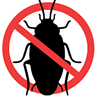 no cockroaches